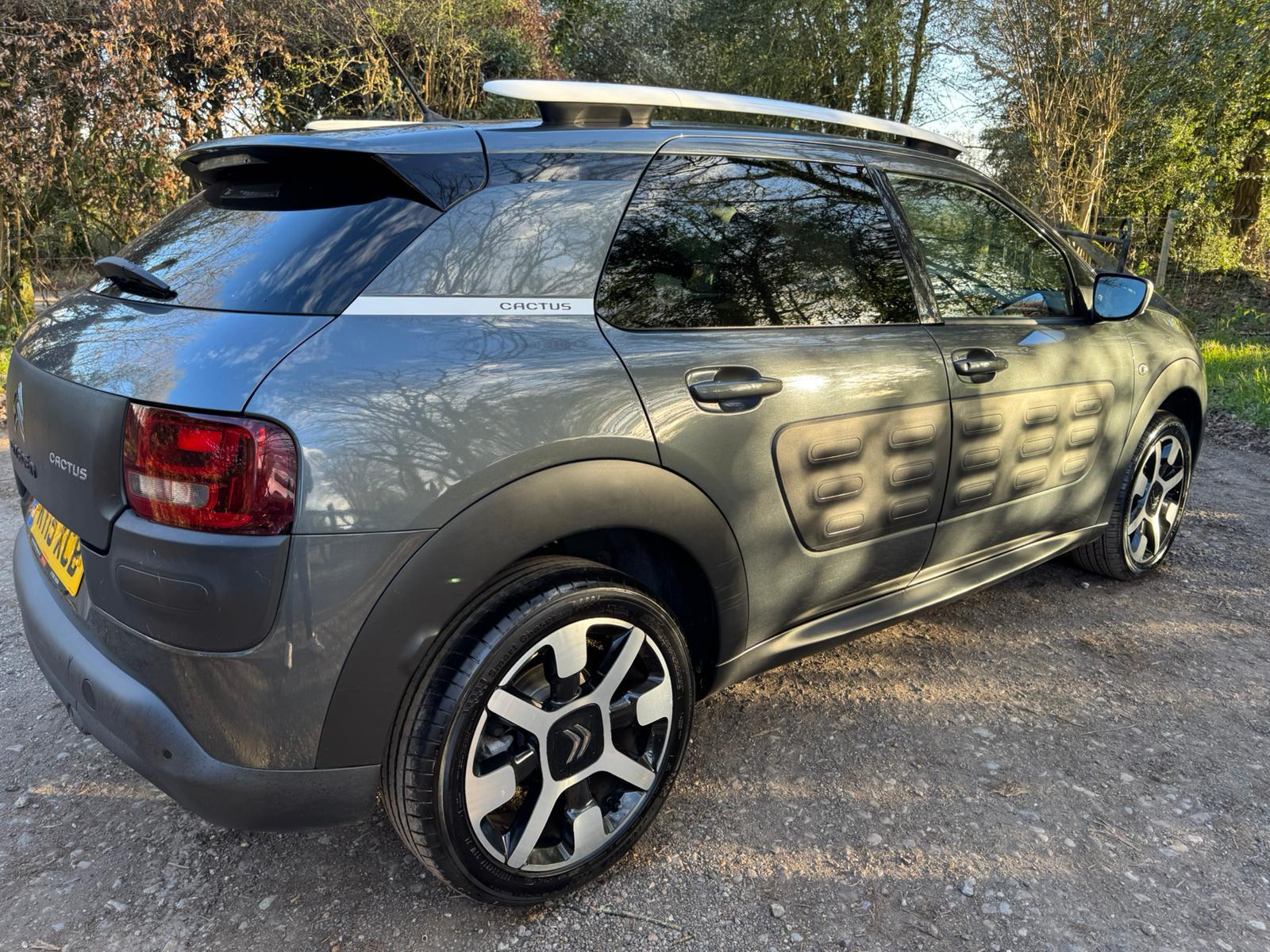 Citroen C4 Cactus 1.2 PureTech Flair Hatchback 5dr Petrol Manual Euro 6 (s/s) (110 ps)